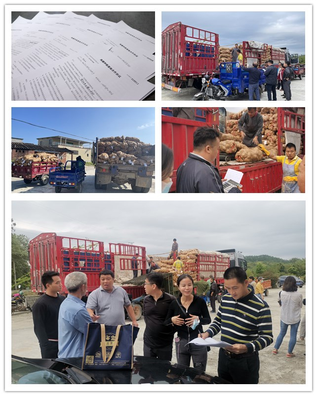 首页|尊龙人生就是博官网入口