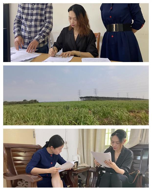 首页|尊龙人生就是博官网入口