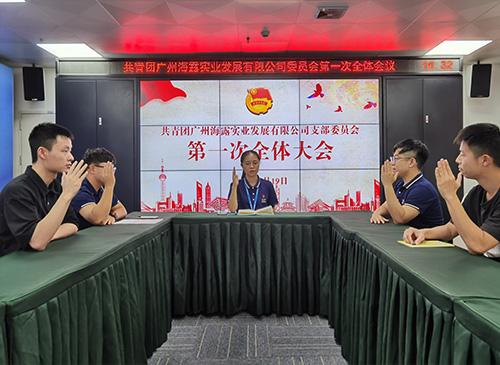 凝聚青春奋斗实力，，集团团支部正式成立！