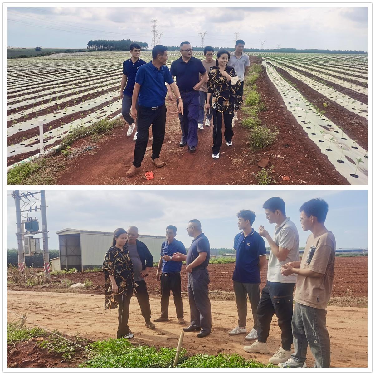 首页|尊龙人生就是博官网入口