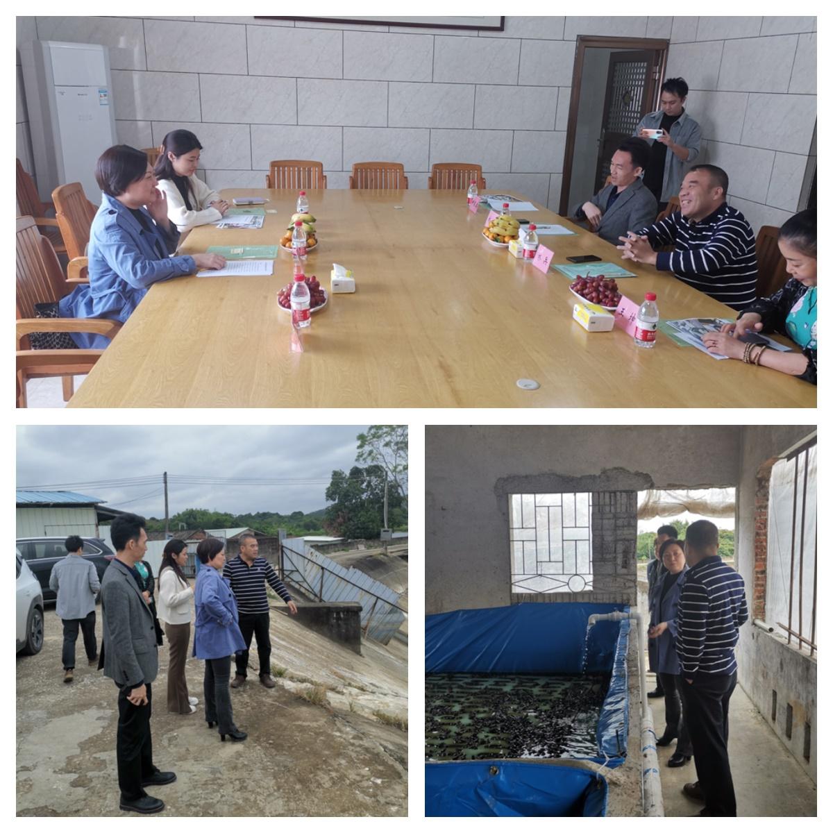 首页|尊龙人生就是博官网入口