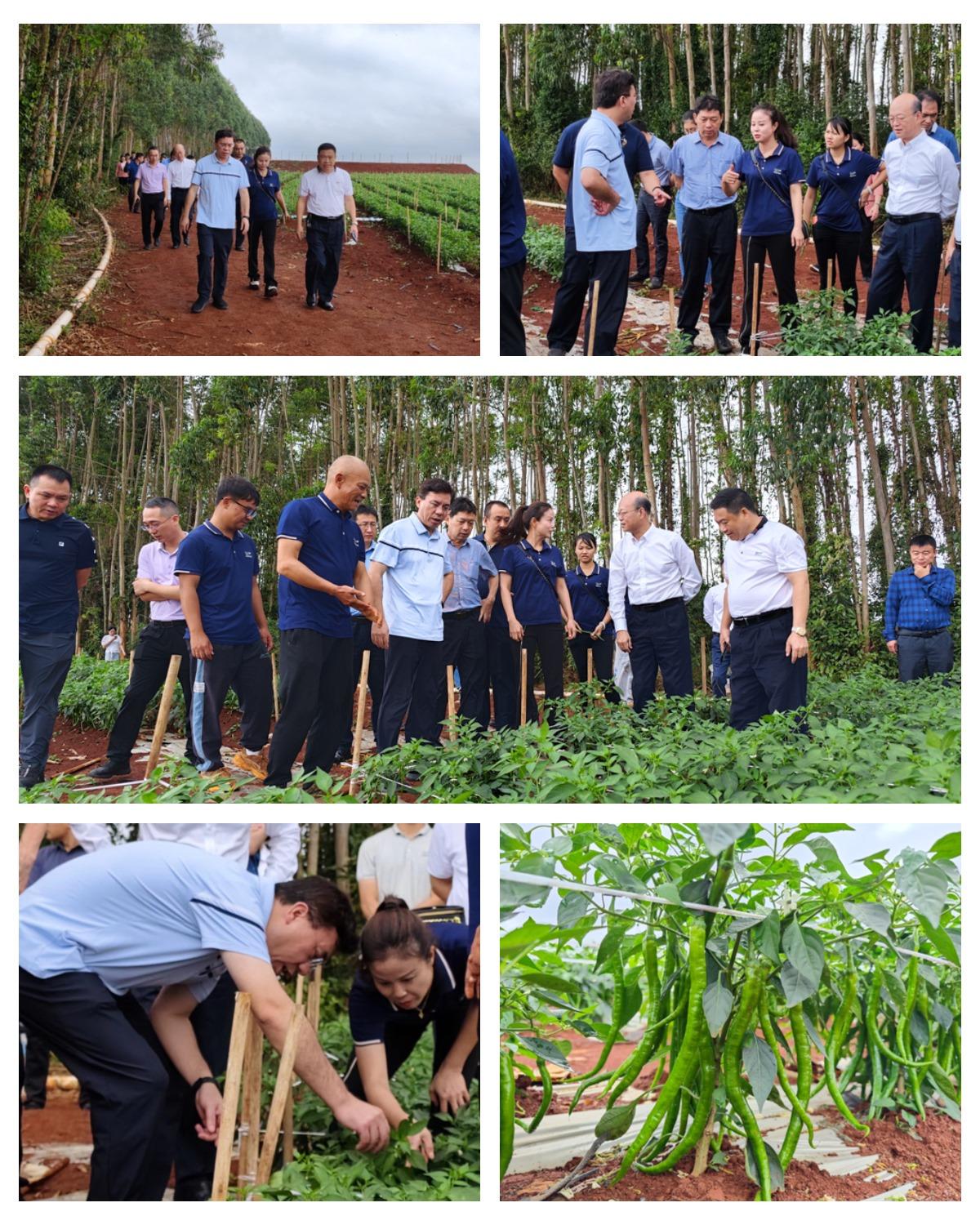 首页|尊龙人生就是博官网入口