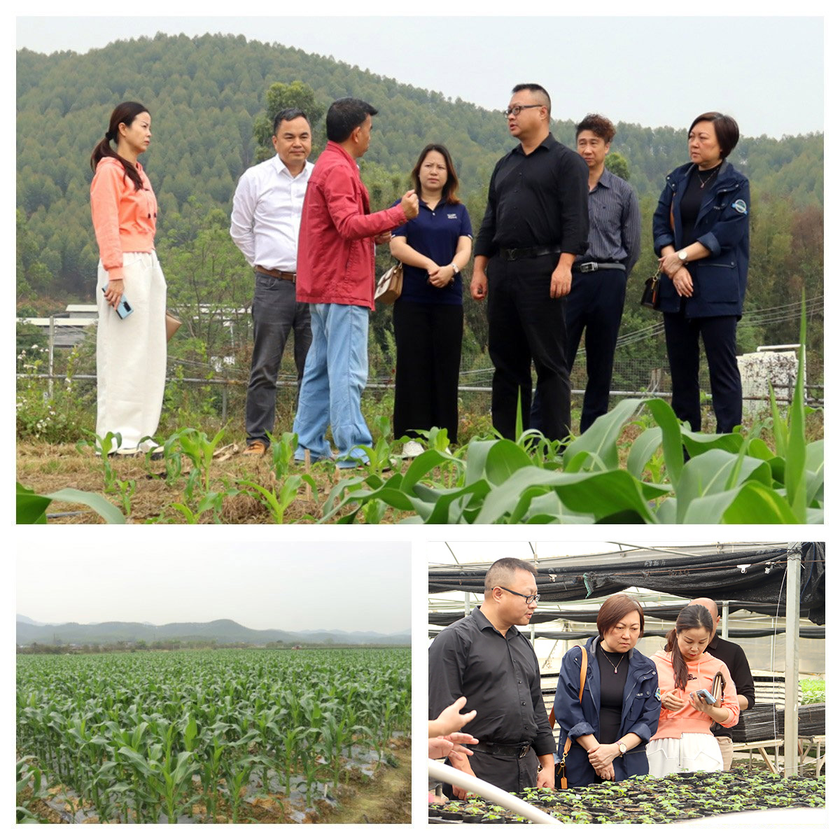 首页|尊龙人生就是博官网入口