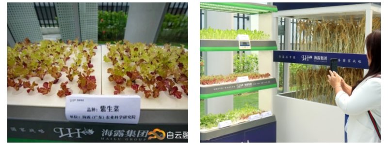 首页|尊龙人生就是博官网入口