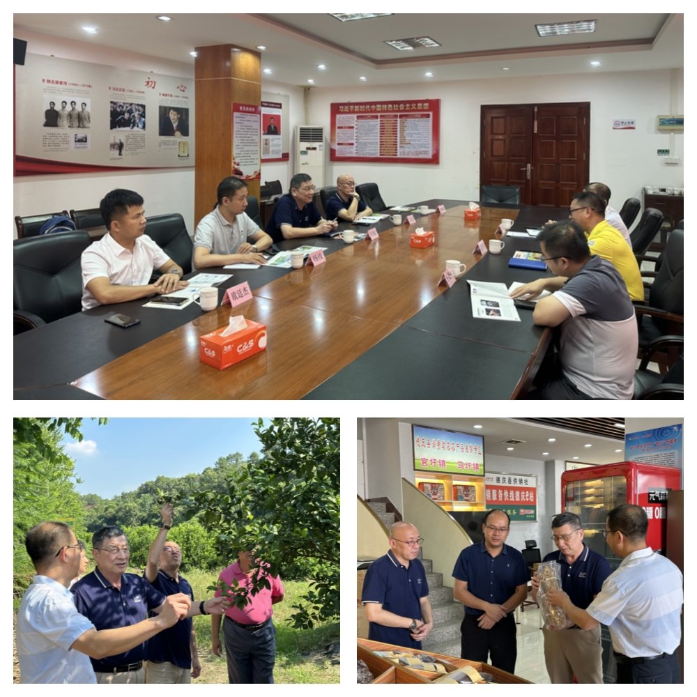 首页|尊龙人生就是博官网入口