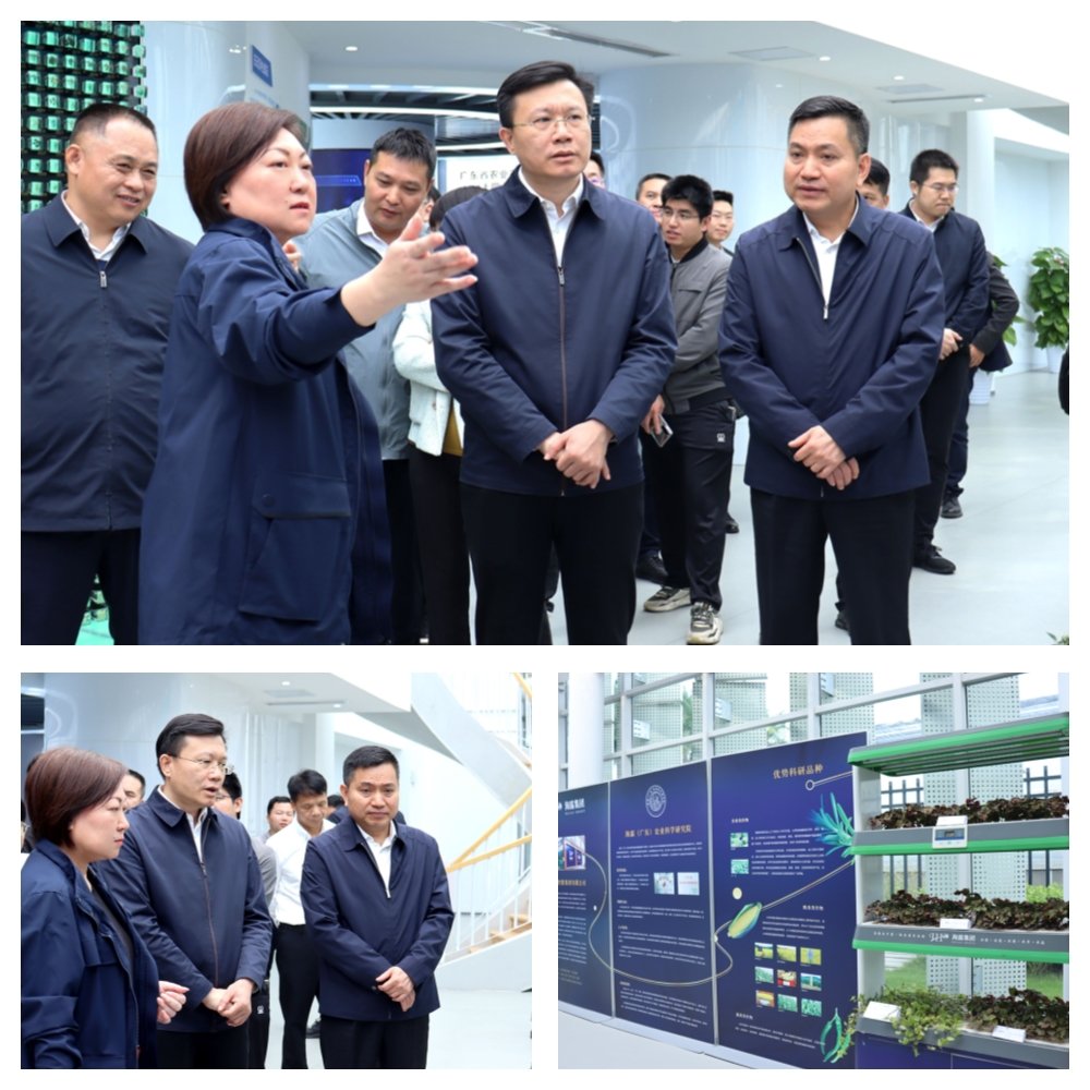 首页|尊龙人生就是博官网入口