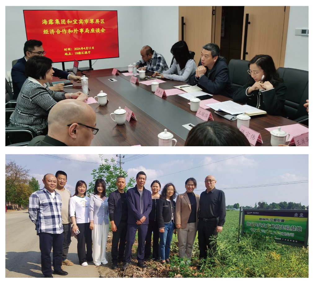 首页|尊龙人生就是博官网入口