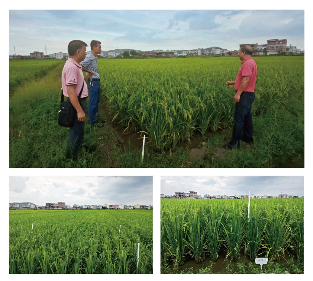 首页|尊龙人生就是博官网入口