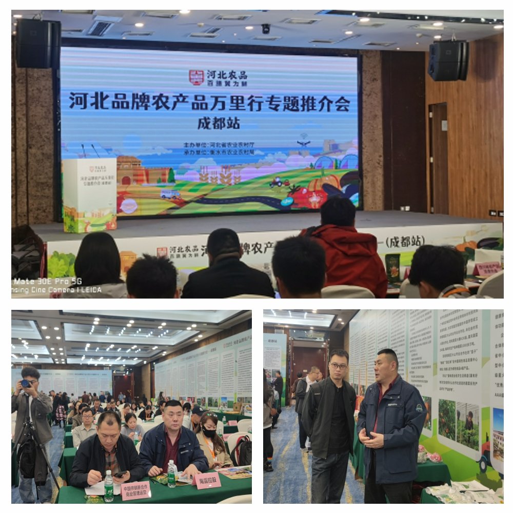 首页|尊龙人生就是博官网入口