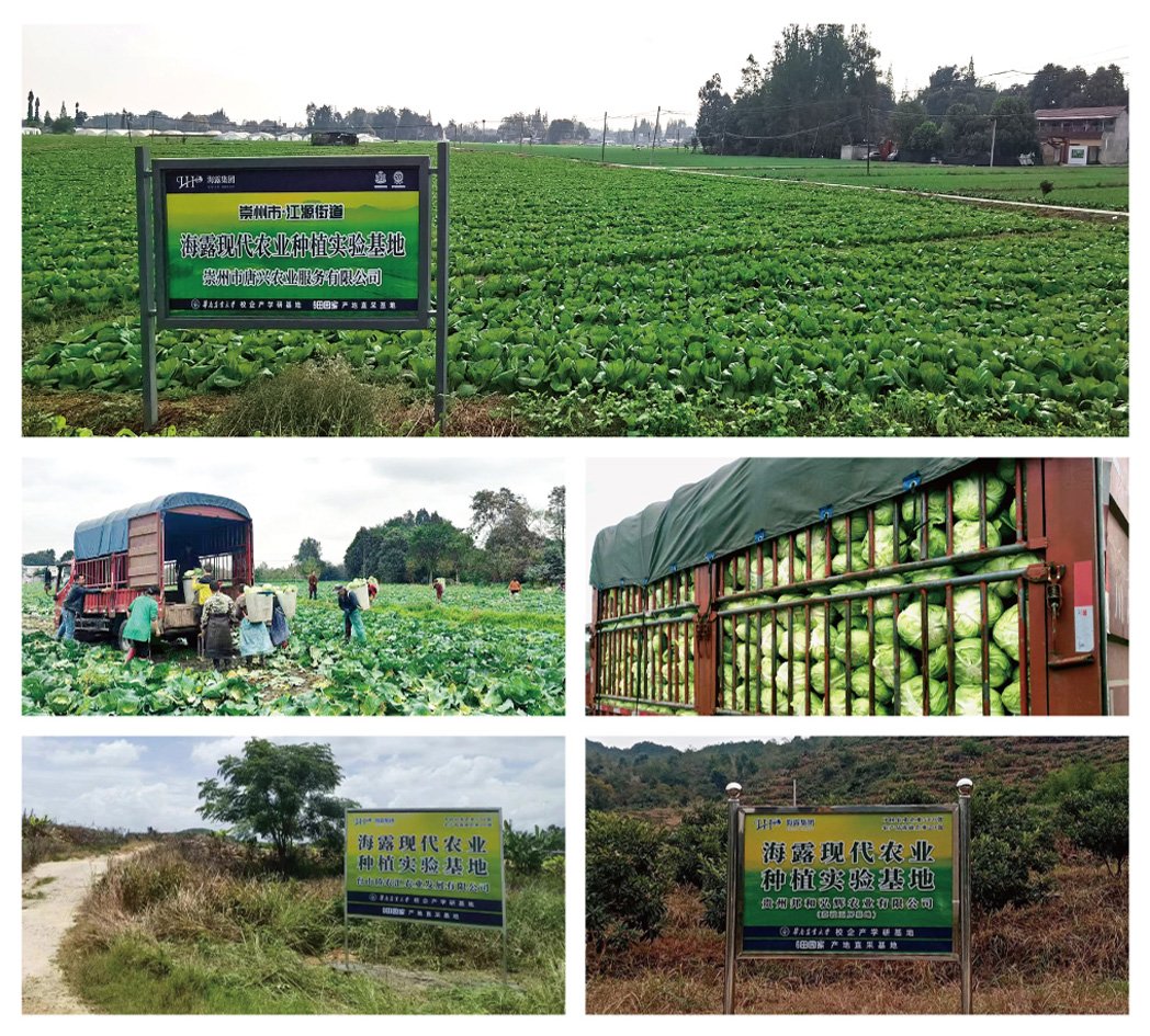 首页|尊龙人生就是博官网入口