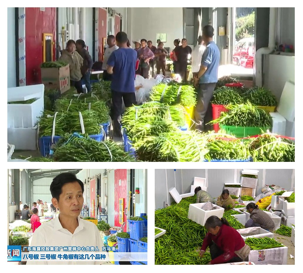 首页|尊龙人生就是博官网入口