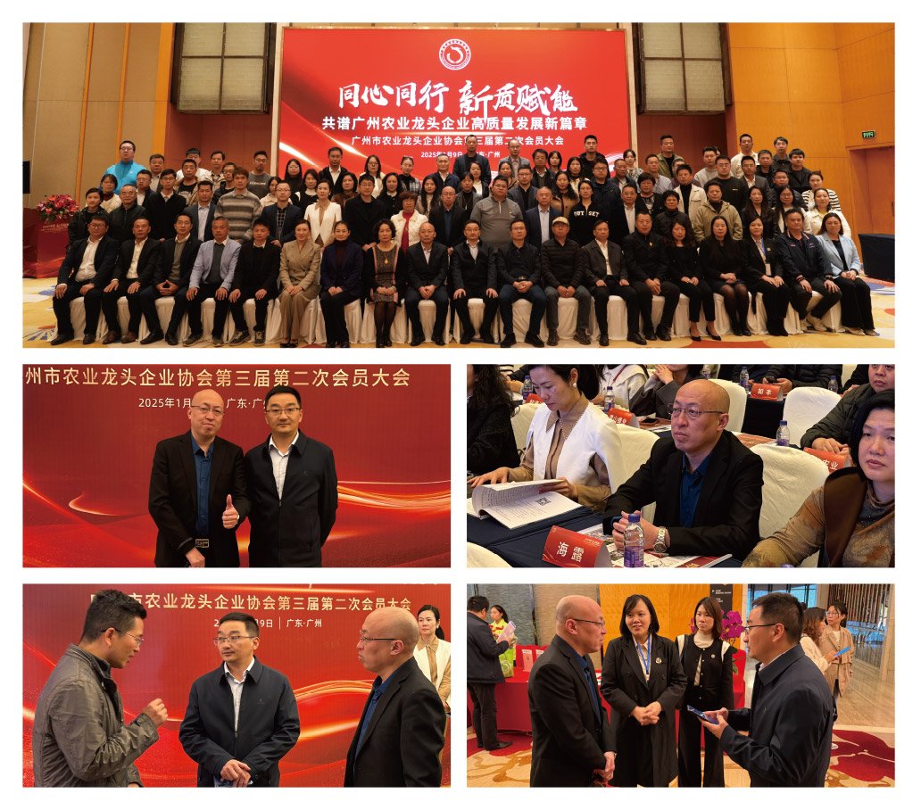 首页|尊龙人生就是博官网入口