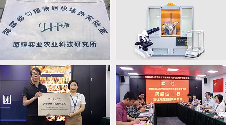 首页|尊龙人生就是博官网入口