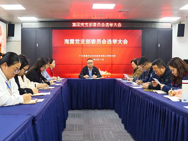 集团完成新成立党支部支委会选举事情