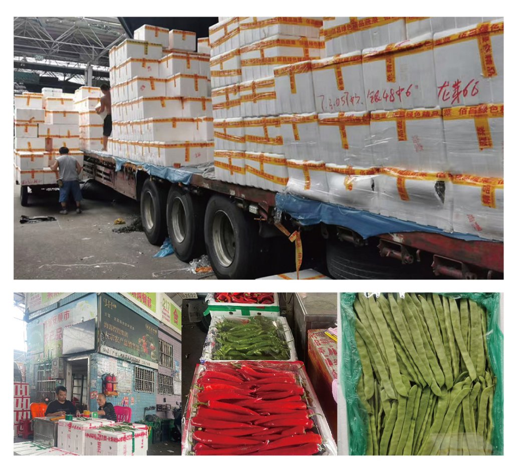 首页|尊龙人生就是博官网入口